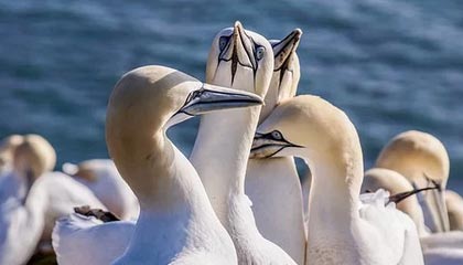 韩鹏、王大雷看望患癌小球迷,一同约定庆祝动作